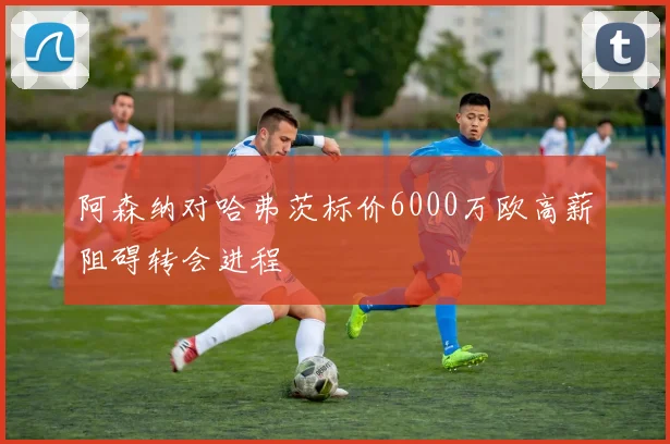 阿森纳对哈弗茨标价6000万欧高薪阻碍转会进程